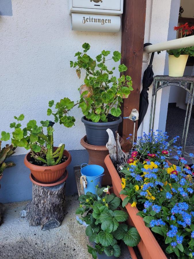 Ferienwohnung Schatz Breitenwang Exteriör bild