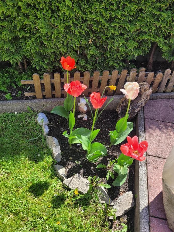 Ferienwohnung Schatz Breitenwang Exteriör bild